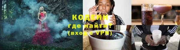 соль ск Пересвет