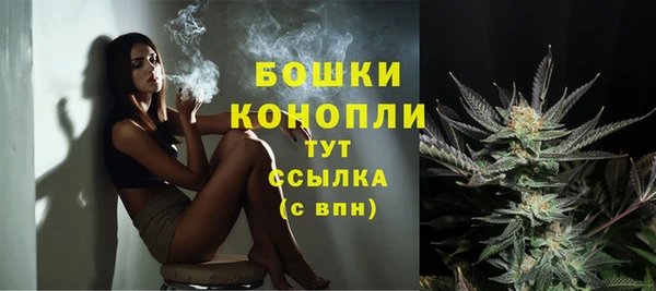соль ск Пересвет