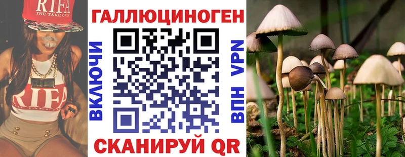 Псилоцибиновые грибы Psilocybine cubensis  купить наркотики сайты  Саров 